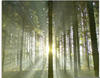 Glasbild ARTLAND "Wald im Gegenlicht" Bilder Gr. B/H: 60 cm x 80 cm, Wald, 1...