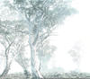 KOMAR Vliestapete "Magic Trees" Tapeten 300x280 cm (Breite x Höhe), Vliestapete, 100