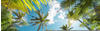 KOMAR Vliestapete "Coconut Heaven" Tapeten Gr. B/L: 450 m x 280 m, Rollen: 1 St.,