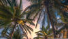 KOMAR Vliestapete "Vertical Paradise" Tapeten 200x280 cm (Breite x Höhe),