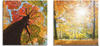 Artland Leinwandbild "Herbst Wald Panoramas", Wald, (4 St.), 4er Set,...