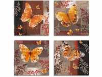 Artland Leinwandbild "Schmetterling 1-4", Insekten, (4 St.)