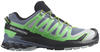 Trailrunningschuh SALOMON "XA PRO 3D V" Gr. 42,5, grau (grau, grün) Schuhe Herren