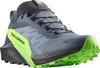 Trailrunningschuh SALOMON "SENSE RIDE 5 GORE-TEX" Gr. 42,5, grau (grau, grün) Schuhe