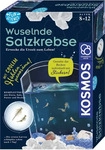 Fun Science Wuselnde Salzkrebse von Kosmos