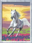 Ravensburger 23768 5, Ravensburger Malen nach Zahlen Galoppierender Schimmel