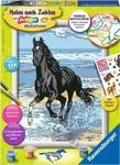 Ravensburger 28565 5, Ravensburger Malen nach Zahlen Pferd am Strand