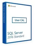 Microsoft SQL Server 2016 | 25 User CALs | Blitzversand
