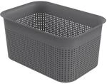Rotho Aufbewahrungsbox anthrazit B/H/L: ca. 18x13x26 cm