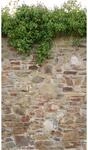 Livingwalls Fototapete Steinoptik beige gr&uuml;n braun B/L: ca. 280x159 cm