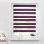 LICHTBLICK Doppelrollo Duo brombeer B/L: ca. 55x150 cm