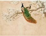 Livingwalls Fototapete Pfau orange beige wei&szlig; B/L: ca. 280x371 cm