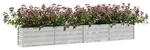 Garten-Hochbeet silber Stahl B/H/L: ca. 40x45x320 cm