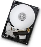 Hitachi Deskstar E7K1000 HDE721010SLA330, SATA, 1,0 TB