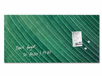 SIGEL Glas-Magnettafel artverum® 91,0 x 46,0 cm Design Palm Leaf matt