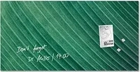 SIGEL Glas-Magnettafel artverum 91,0 x 46,0 cm Design Palm Leaf matt