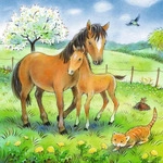 Ravensburger Kuschelzeit Puzzle, 3 x 49 Teile