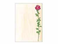 SIGEL Motivpapier Rose Bloom Motiv DIN A4 90 g/qm 25 Blatt DP695
