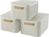 3 curver STYLE S Aufbewahrungsboxen creme 29,1 x 19,8 x 14,2 cm