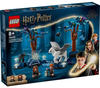 LEGO® Harry Potter Der verbotene Wald: Magische Wesen 76432