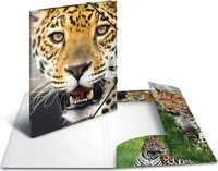 HERMA Sammelmappen DIN A4 Leoparden, 3 St.
