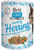 BRIT CARE Cat Snack Superfruits Herring 100g (Mit Rabatt-Code BRIT-5 erhalten...