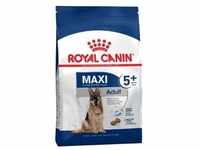 ROYAL CANIN Maxi Adult 5+ 15kg+Überraschung für den Hund (Mit Rabatt-Code...