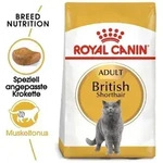 ROYAL CANIN British Shorthair Adult 4kg