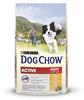 PURINA Dog Chow Adult Active Chicken 14kg + Dolina Noteci 150g (Rabatt für