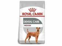 ROYAL CANIN CCN Medium Dental Care 10kg+Überraschung für den Hund (Mit...