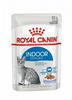 ROYAL CANIN Indoor Sterilisiert in Gelee 12x85g (Mit Rabatt-Code ROYAL-5...