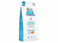 BRIT CARE Dog Grain-free Junior Large Breed Salmon 12kg + Überraschung für...