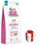 BRIT CARE Dog Grain-free Puppy Salmon 12kg + &Uuml;berraschung f&uuml;r den Hund