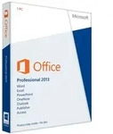 Microsoft Office 2013 Professional