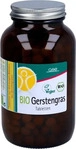 PZN-DE 00393040, GSE Vertrieb Biologische Nahrungserg&auml;nzungs- & Heilmittel