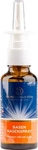 PZN-DE 07038543, APOZEN VERTRIEBS BASEN NASENSPRAY LQA 30 ml Spray 0.03 l,