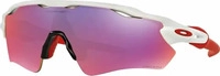 Oakley OO9208-05, Oakley Brille Radar EV Path polished white / PRIZM Road