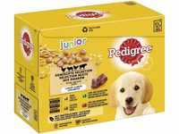 Pedigree Junior Gemischte Selektion in Gelee 4 Varietäten Hundefutter 12 x 100g