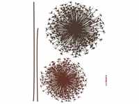 Komar Decosticker Pusteblume 50 x 70 cm