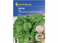 Kiepenkerl Spinat Lazio Spinacia oleracea, Inhalt: ca. 6 lfd. Meter