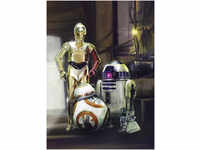 Komar Fototapete Star Wars Three Droids 254 x 184 cm