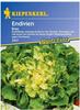 Kiepenkerl Endivien Eros Chicorium endivia, Inhalt: ca. 150 Pflanzen