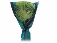 Bio Green Palmenschutz Höhe 150 cm Stamm Ø bis 35 cm