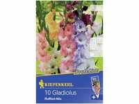 Kiepenkerl Blumenzwiebel Gladiolus Ruffled-Mix Gladiolus x Hybrida, Inhalt: 10...