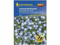 Kiepenkerl Hainblume Nemophila menziesii, Inhalt: ca. 75 Pflanzen