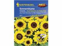 Kiepenkerl Sonnenblume Pradomio Inhalt reicht für ca. 30 Pflanzen