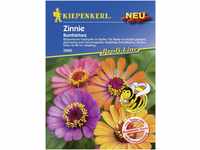 Kiepenkerl Zinnie Bumblebee Inhalt reicht für ca. 30 Pflanzen