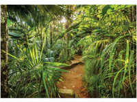 Komar Fototapete jungle Trail 368 x 254 cm