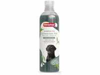 Beaphar Hundeshampoo für schwarzes Fell 250 ml