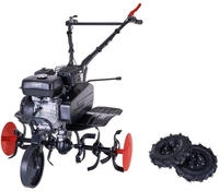 Benzin-Motorhacke MTP750 Scheppach - 5,7PS | 75cm Arbeitsbreite | 31cm...